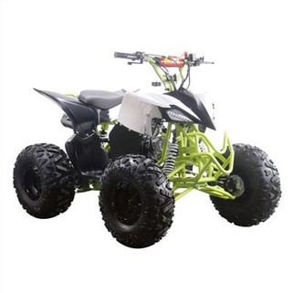 Cuatriciclo Raptor 125cc nuevo